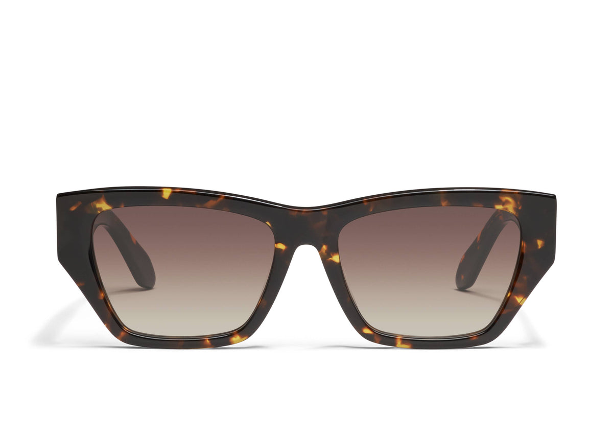 NO APOLOGIES Sunglasses