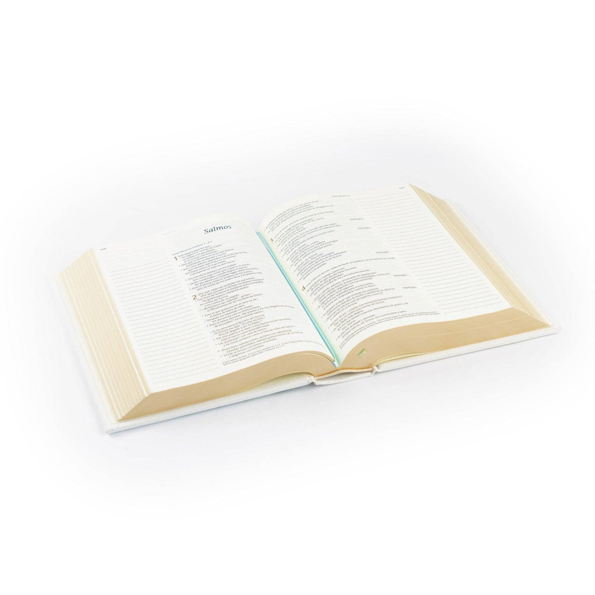 NTV Spanish Notetaking Bible
