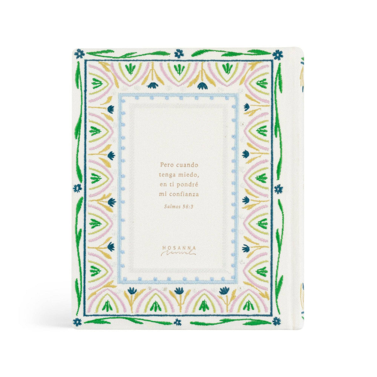NTV Spanish Notetaking Bible