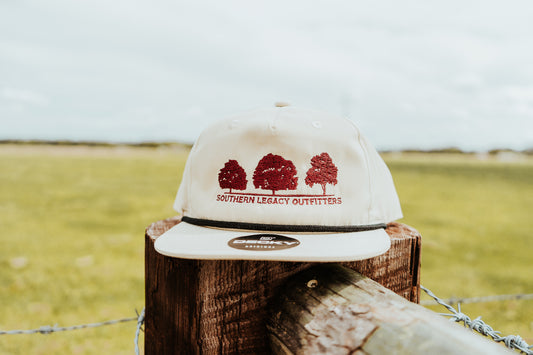 Birch + Maroon Original Logo Hat