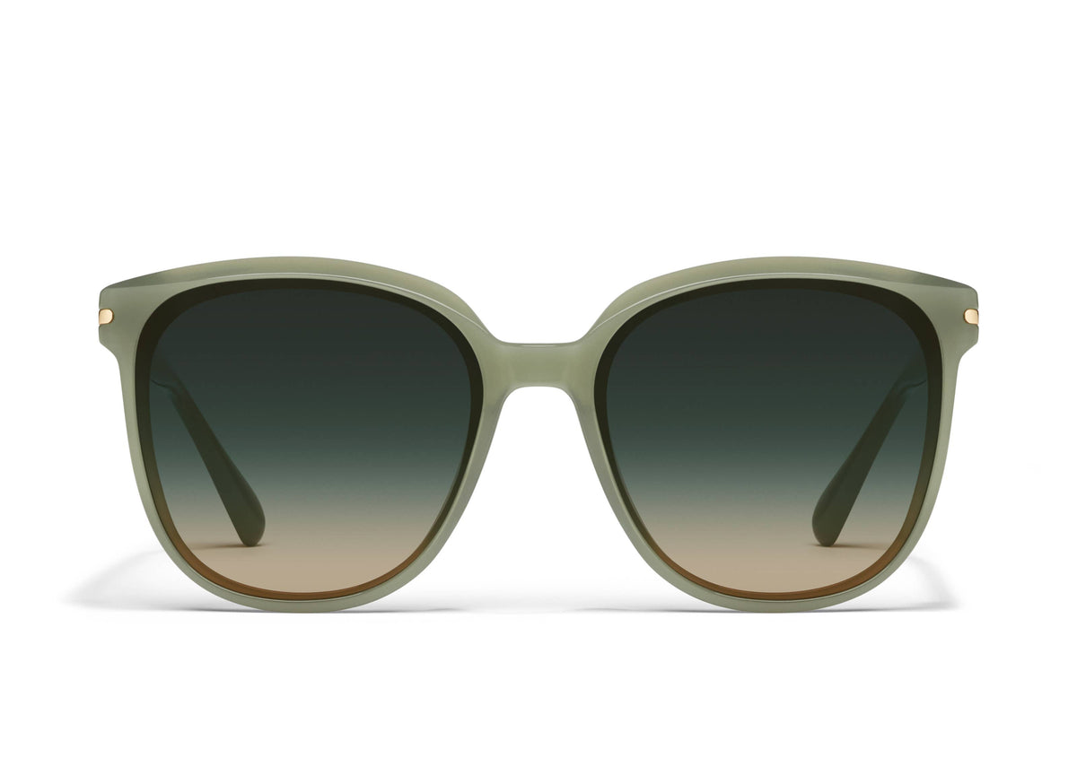 RENT FREE Sunglasses